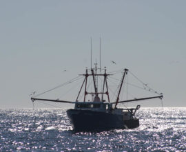 F/V Arcturus