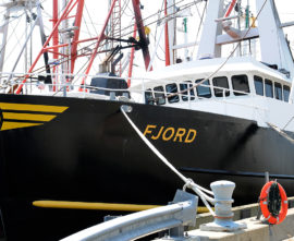 F/V Fjord