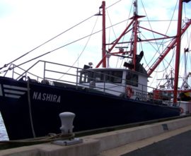 F/V Nashira